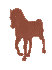 HorseR