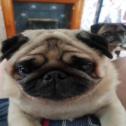 Timmy photo 04