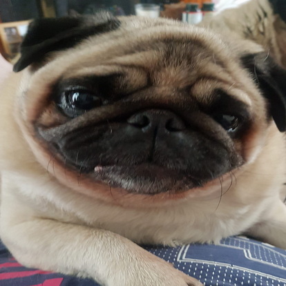 Timmy photo 05