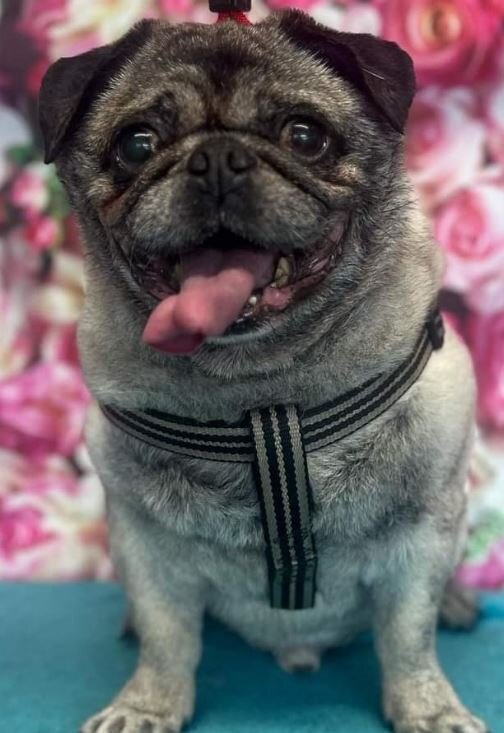 Winston photo 00