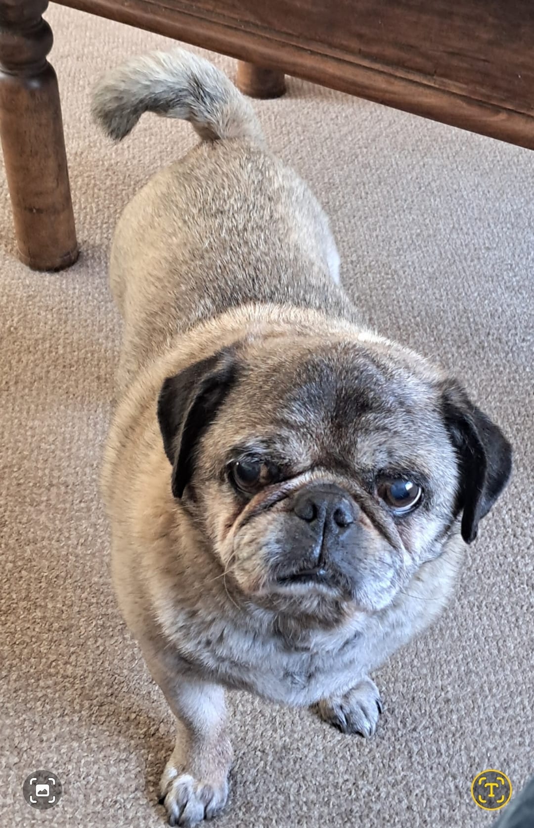 Winston photo 02