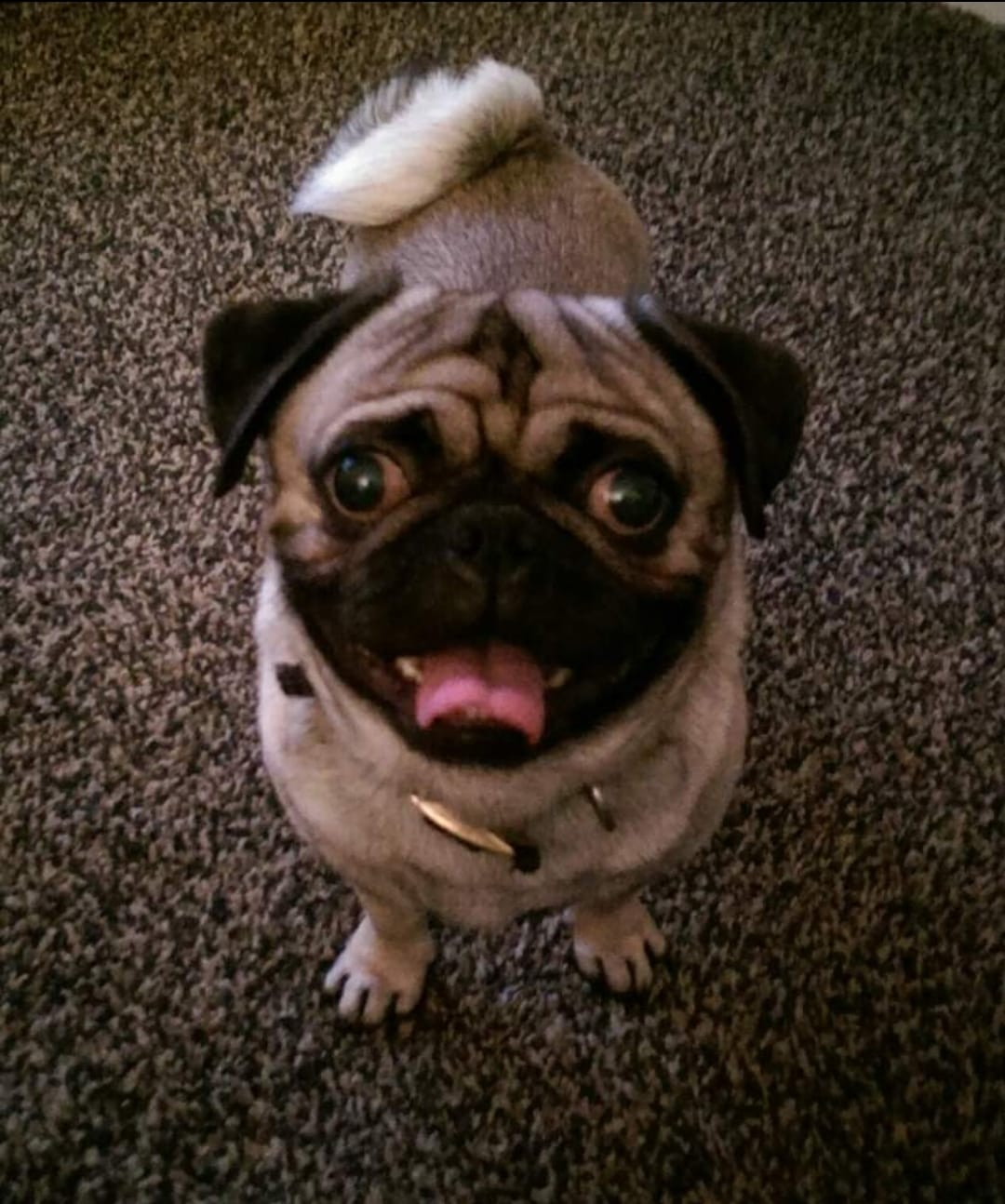 Winston photo 04